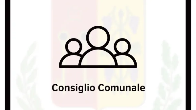 Consiglio Comunale